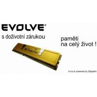 EVOLVE by Zeppelin DDR III 2GB 1600 MHz EVOLVE GOLD (s chladičem, box), CL9 (9-9-9-24) - (doživotní záruka)