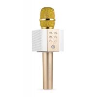 Technaxx ELEGANCE bluetooth karaoke mikrofon, 2x5W repro, zlatá (BT-X45)