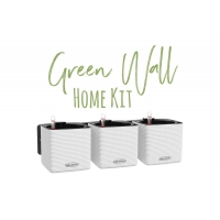 Samozavlažovací květináč Green Wall Home Kit Color