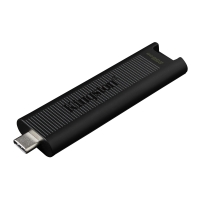 256GB Kingston DT Max USB-C 3.2 gen. 2