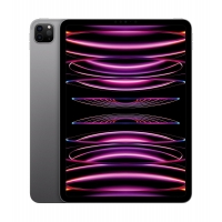 Apple iPad Pro 11"/WiFi/11"/2388x1668/16GB/1 TB/iPadOS16/Space Gray