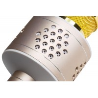 Bluetooth karaoke mikrofon Technaxx PRO BT-X35 se 2 reproduktory, zlatý/stříbrný (1)