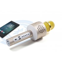 Bluetooth karaoke mikrofon Technaxx PRO BT-X35 se 2 reproduktory, zlatý/stříbrný (3)