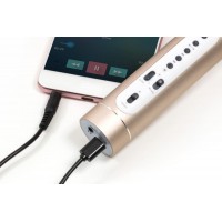 Bluetooth karaoke mikrofon Technaxx PRO BT-X35 se 2 reproduktory, zlatý/stříbrný (5)