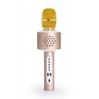 Bluetooth karaoke mikrofon Technaxx PRO BT-X35 se 2 reproduktory, zlatý/stříbrný (6)
