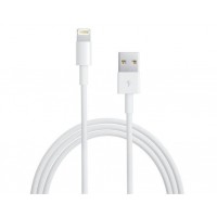 Kabel USB to Lightning pro zařízení Apple MD818ZM/A, 1m [1]
