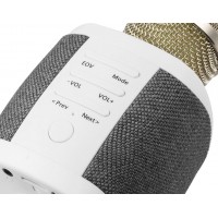 Bluetooth karaoke mikrofon Technaxx FABRIC BT-X44 se 2 reproduktory (1)