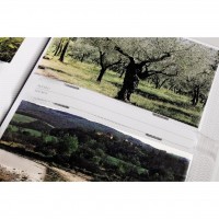 Hama album SNEAKERS pro 200 fotografií 10x15 cm (3)