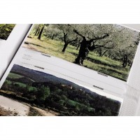 Hama album memo LENOCH pro 200 fotografií 10x15 cm (3)