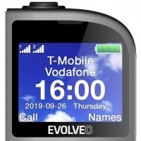 EVOLVEO EasyPhone FM, mobilní telefon pro seniory s nabíjecím stojánkem (stříbrná barva) [4]