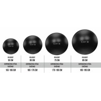 Gymnastický míč LIFEFIT ANTI-BURST 75 cm, černý (1)