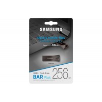 Samsung - USB 3.1 Flash Disk 256 GB, šedá [1]