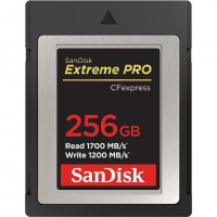 SanDisk Extreme PRO CF expres 256 GB, Type B [4]