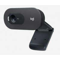 webová kamera Logitech HD Webcam C505 [2]