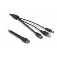 DeLock kabel eSATAp na eSATA/USB-B/DC-12V 1m