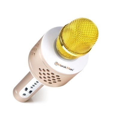 Bluetooth karaoke mikrofon Technaxx PRO BT-X35 se 2 reproduktory - zlatý/stříbrný