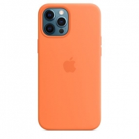 iPhone 12 Pro Max Silicone Case w MagSafe 