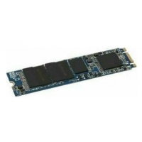 Dell/240GB/SSD/SATA/M.2 SATA/1R